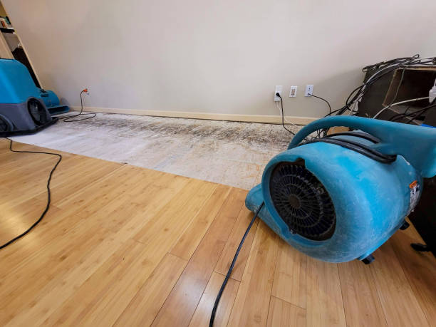 Professional Structural Drying technician working in Wiconisco, PA
